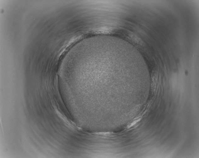 X0000057090168200509120928