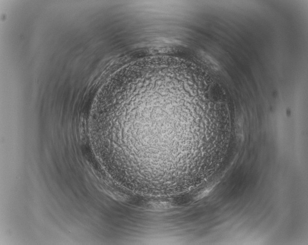 X0000057090169200509120928