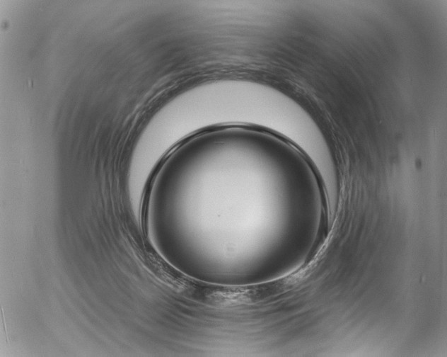 X0000057090170200509120928