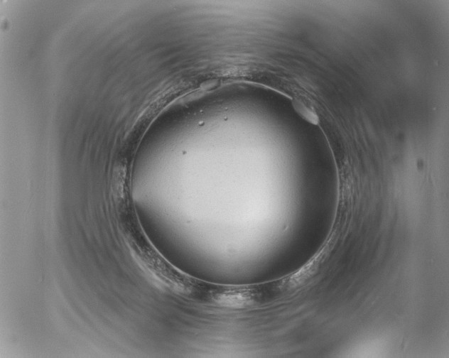 X0000057090171200509120928