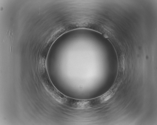 X0000057090172200509120928