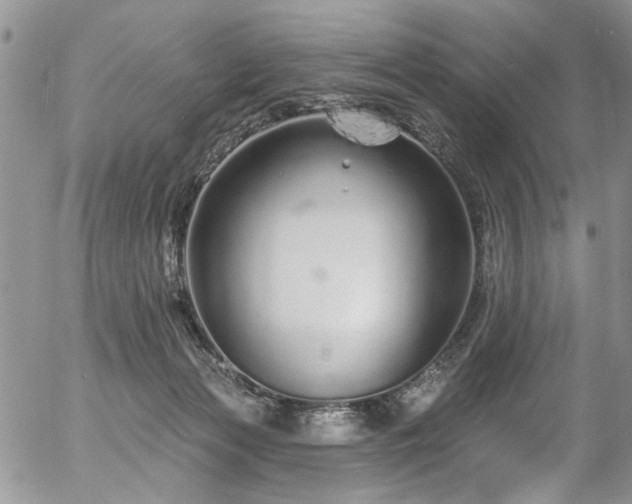 X0000057090173200509120928