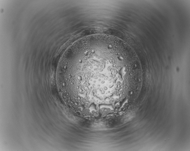 X0000057090177200509120928