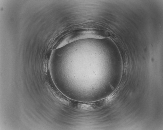 X0000057090180200509120928