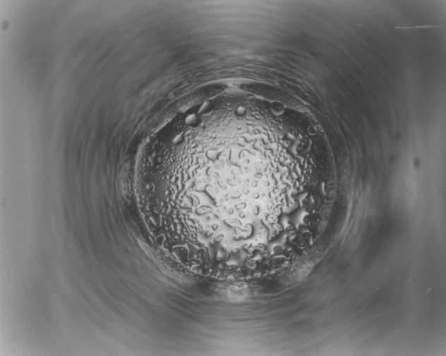 X0000057090181200509120928