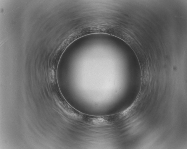 X0000057090183200509120928