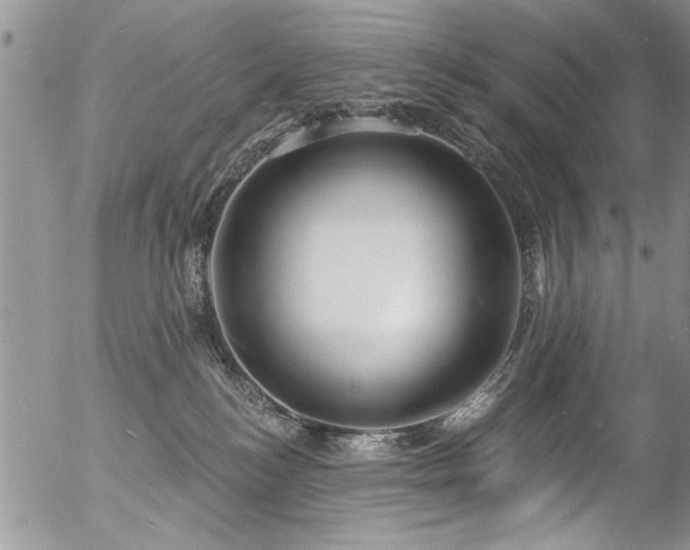 X0000057090184200509120928