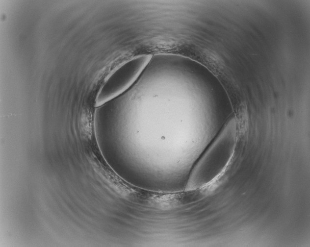 X0000057090186200509120928