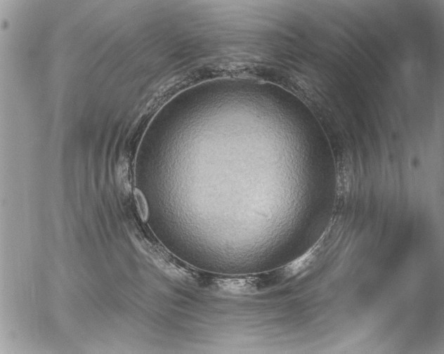 X0000057090187200509120928