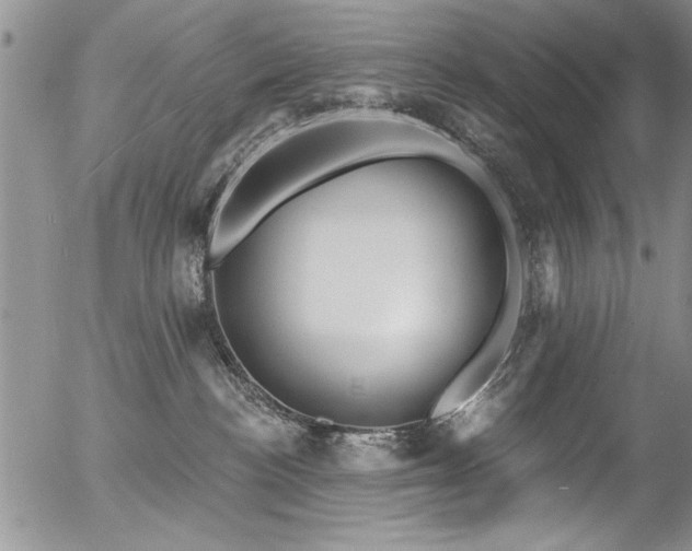 X0000057090188200509120928