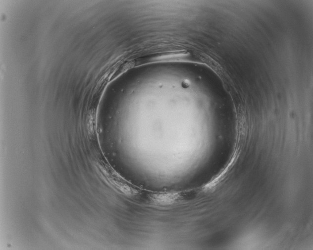 X0000057090191200509120928