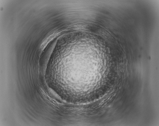 X0000057090194200509120927