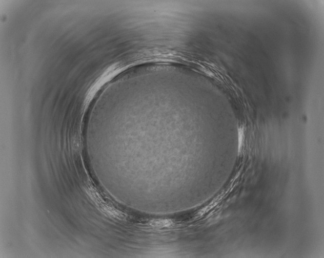 X0000057090195200509120927