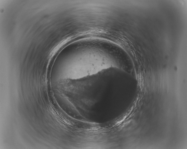 X0000057090196200509120927