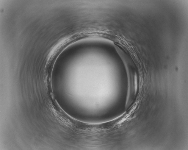 X0000057090197200509120927