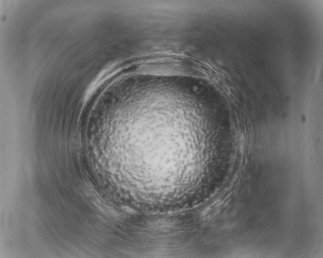 X0000057090198200509120927