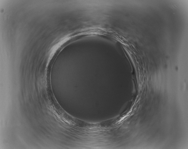 X0000057090200200509120927