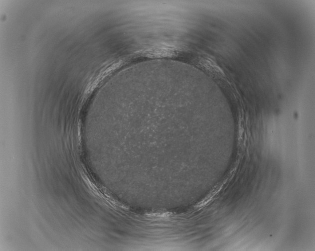 X0000057090202200509120927