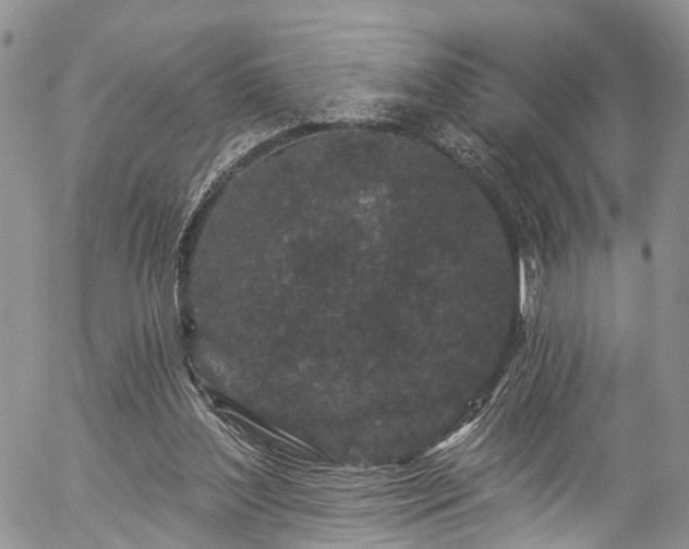 X0000057090204200509120927