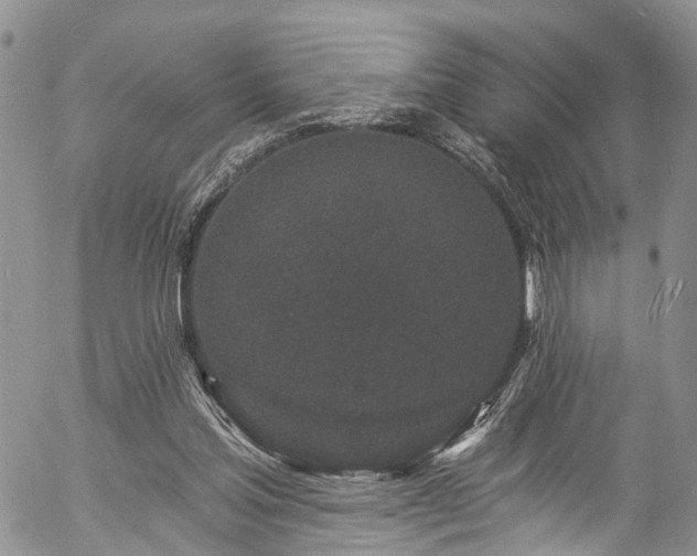 X0000057090205200509120927