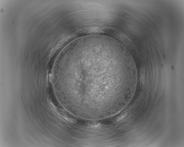 X0000057090206200509120927