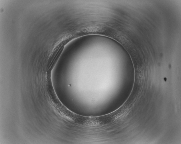 X0000057090207200509120927