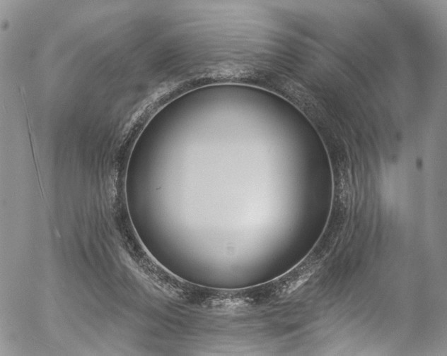 X0000057090208200509120927