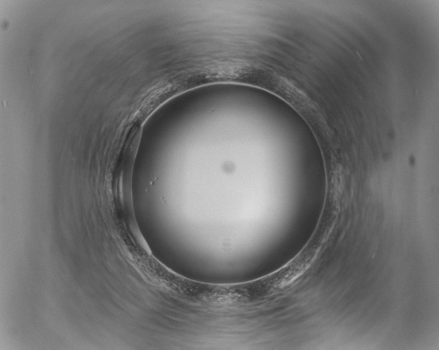 X0000057090209200509120927