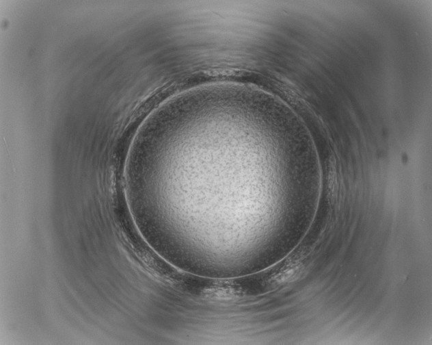 X0000057090211200509120927