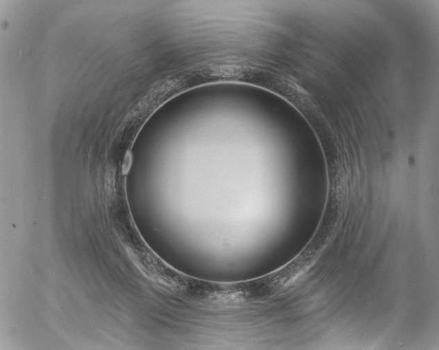 X0000057090213200509120927