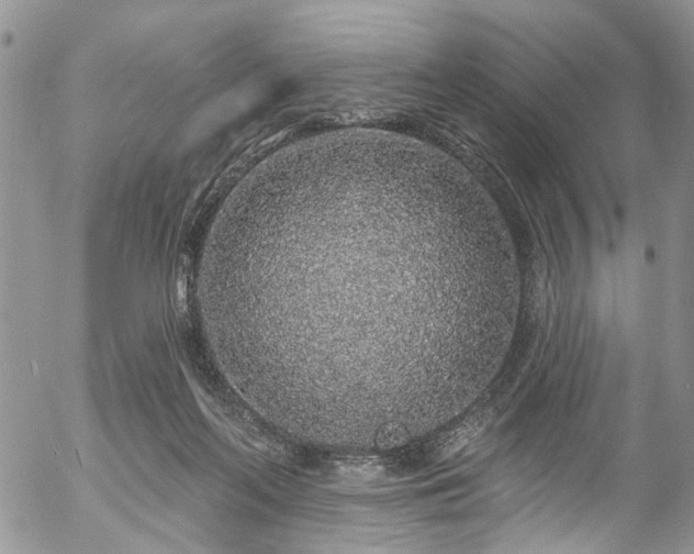 X0000057090214200509120927