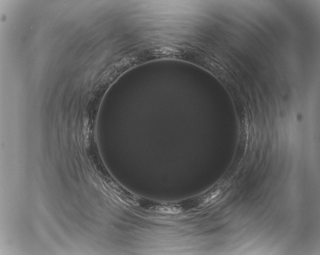 X0000057090223200509120927