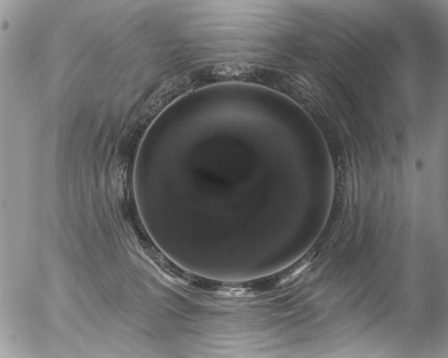 X0000057090227200509120927