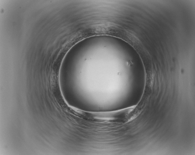 X0000057090228200509120927