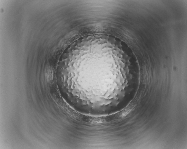 X0000057090230200509120927