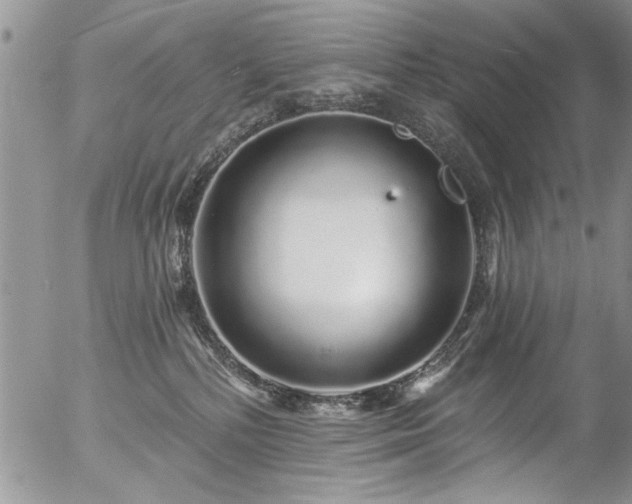 X0000057090232200509120927