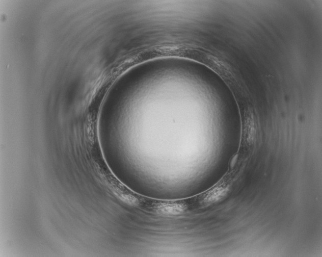 X0000057090234200509120927