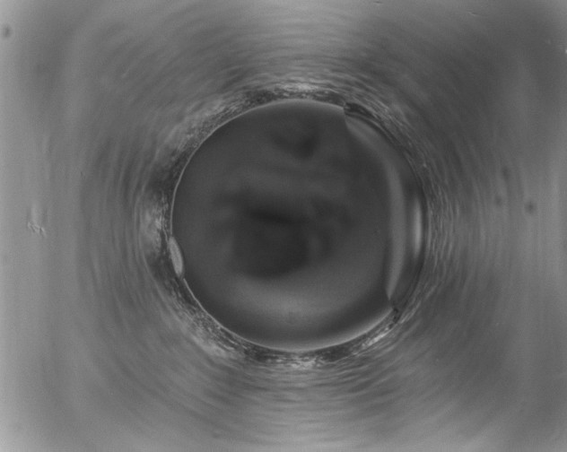 X0000057090235200509120927