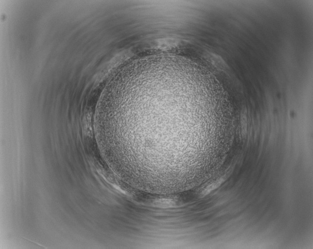 X0000057090236200509120927