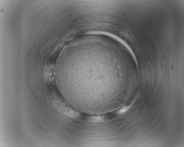 X0000057090237200509120927