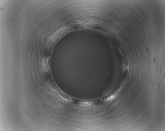 X0000057090239200509120927