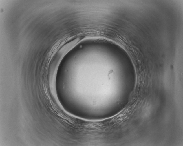 X0000057090241200509120926