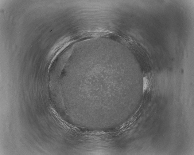 X0000057090243200509120926