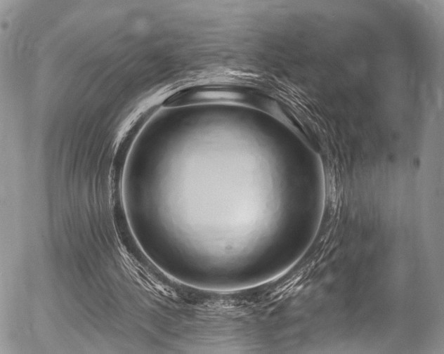 X0000057090244200509120926