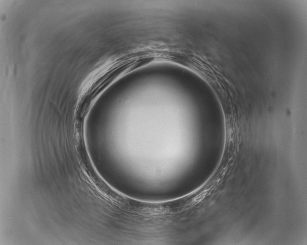 X0000057090245200509120926