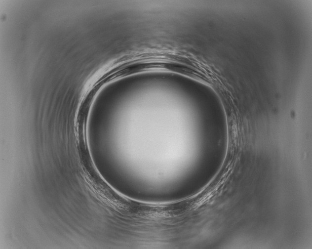 X0000057090246200509120926