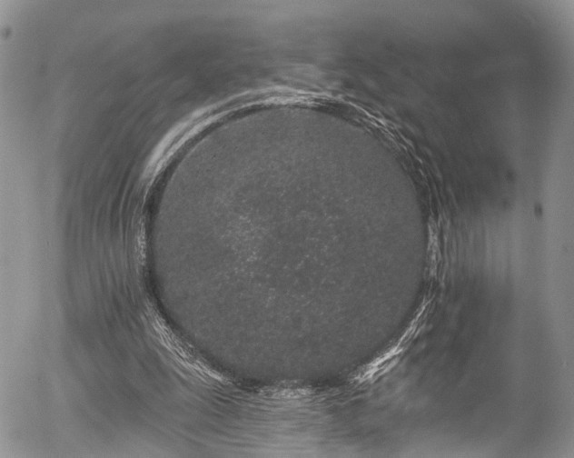 X0000057090247200509120926