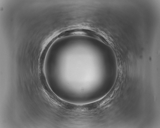 X0000057090248200509120926