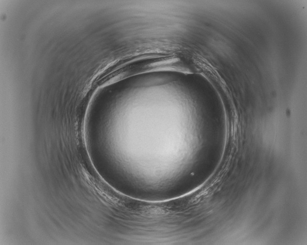 X0000057090249200509120926