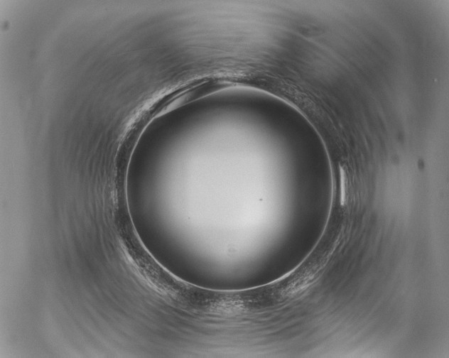 X0000057090252200509120926